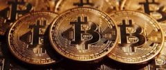 aceptamos bitcoins consultar